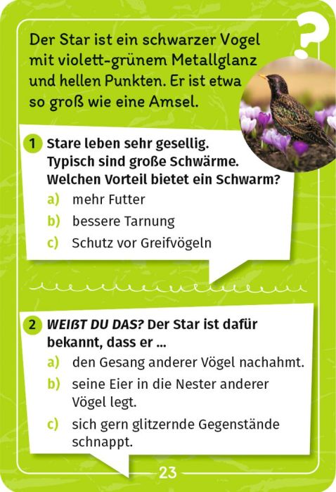Mein Vogel-Forscherquiz