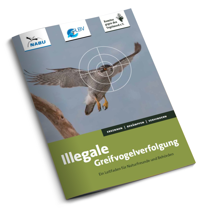 Illegale Greifvogelverfolgung