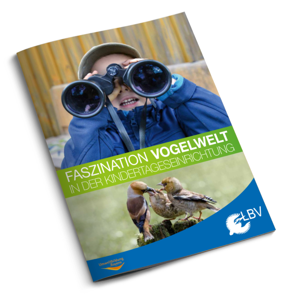Faszination Vogelwelt