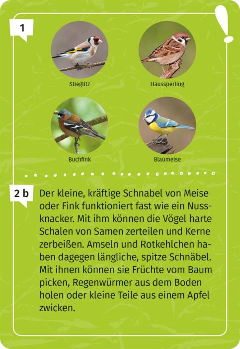 Mein Vogel-Forscherquiz