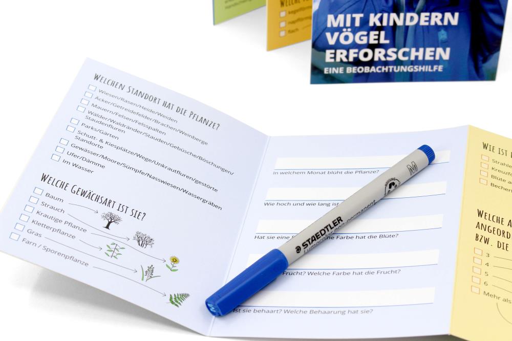 Mit Kindern Vögel erforschen