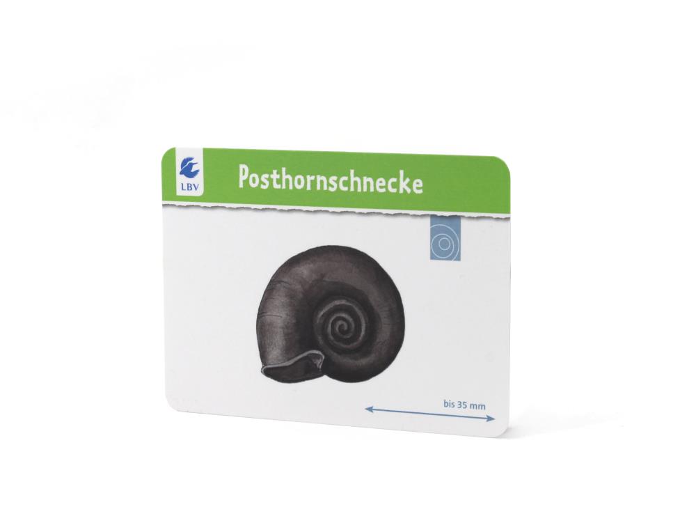 Gewässerkarten