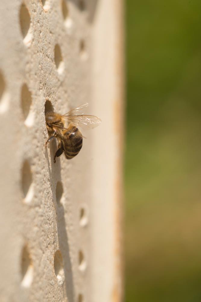 Wildbienenhaus CeraNatur 3er Set