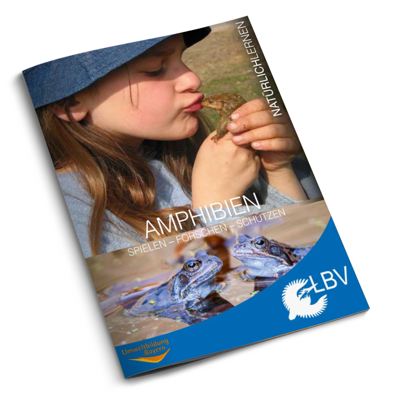 Amphibien - Natürlich lernen