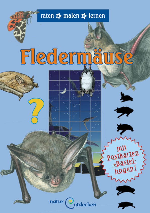 Fledermäuse Spielheft DIN A4