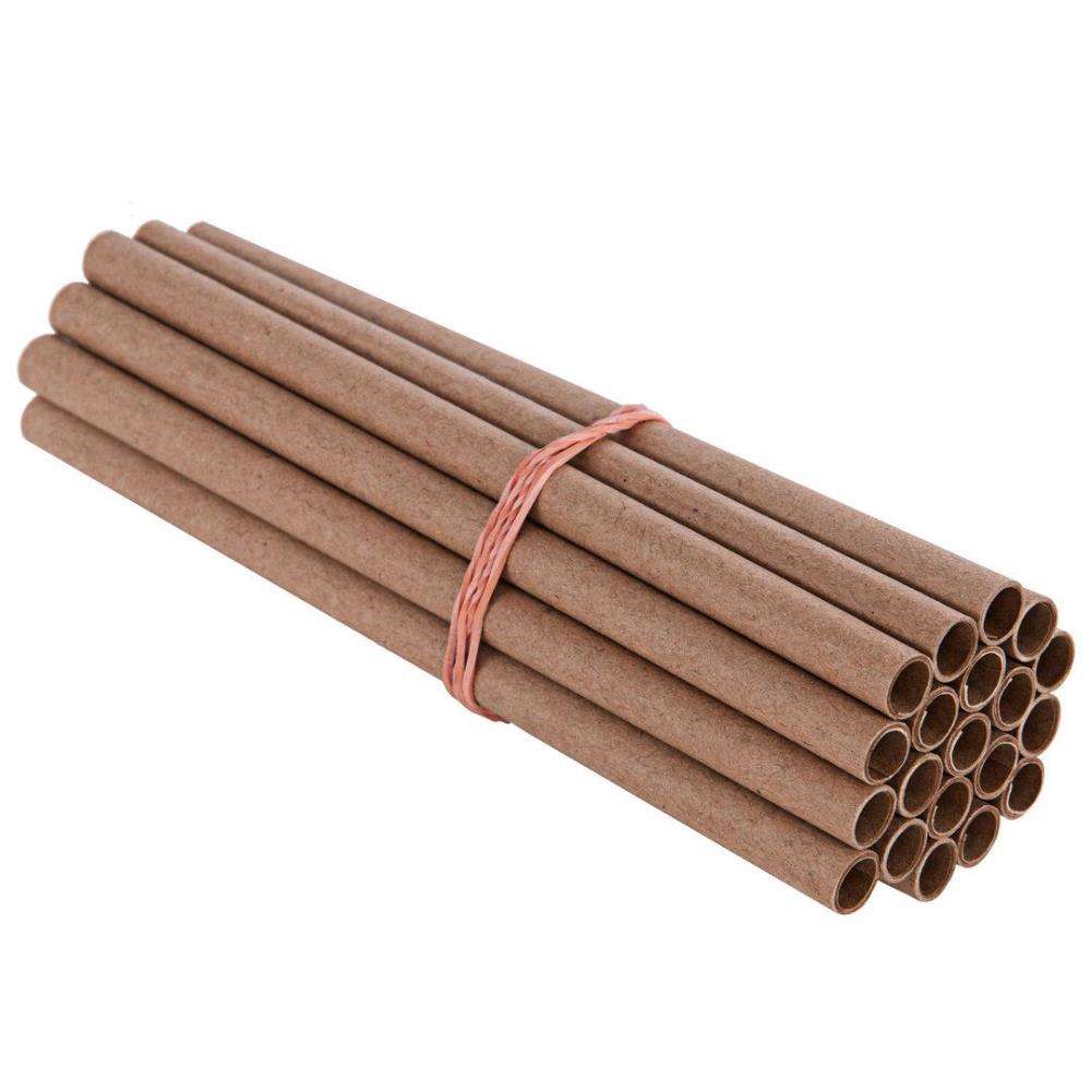 Niströhren22042136_911