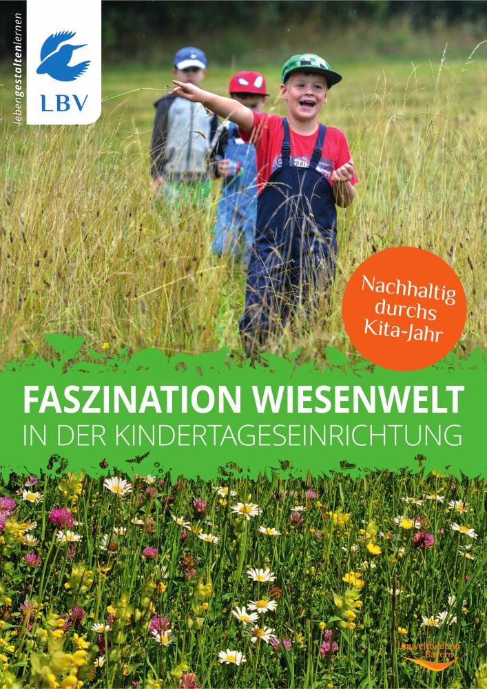 Faszination Wiesenwelt