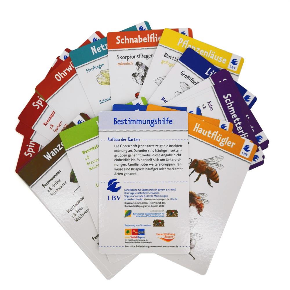 Karten-Set "Insekten auf der Wiese"