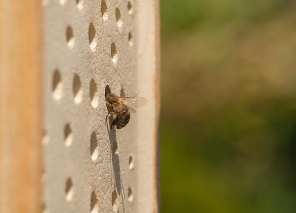 Wildbienenhaus CeraNatur