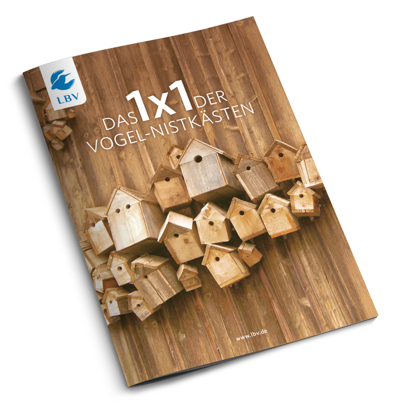 Das 1x1 der Vogel-Nistkästen