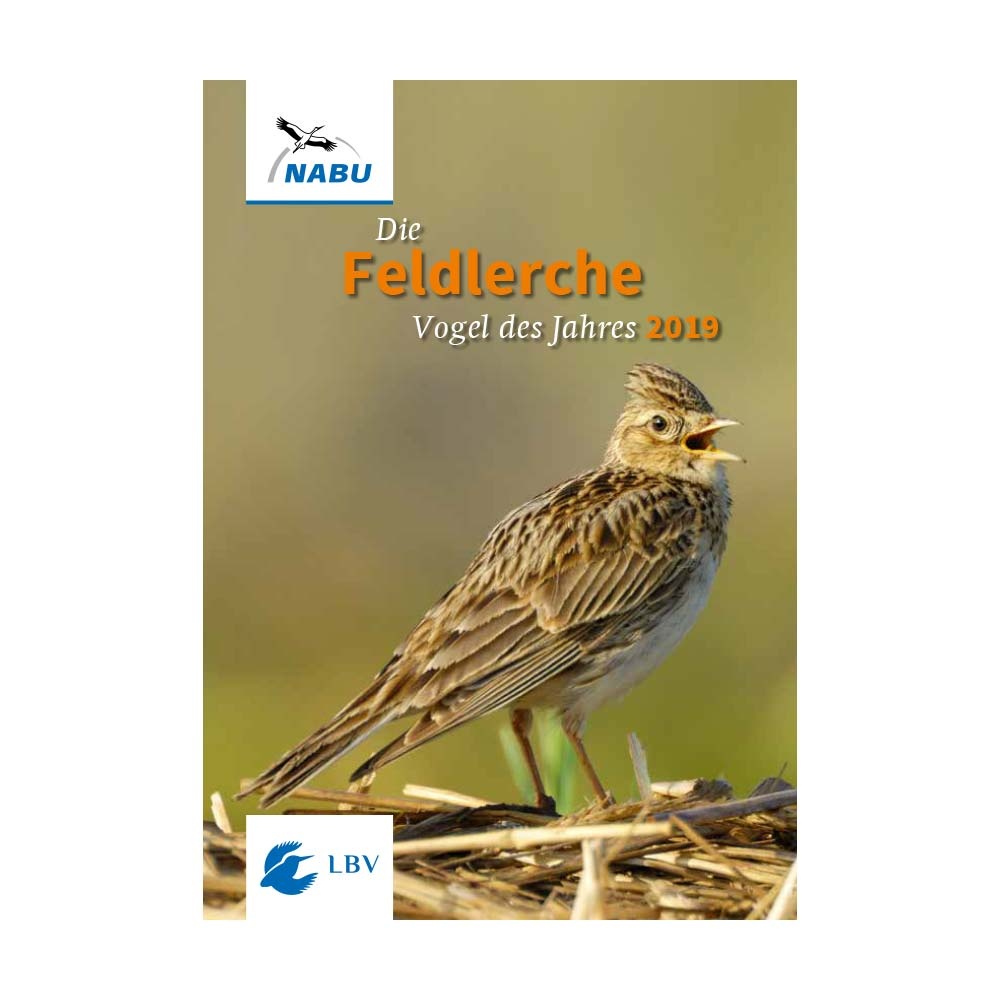 Feldlerche "Vogel des Jahres 2019"